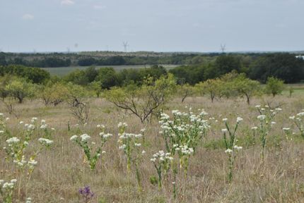 Timberland Property in Comanche County, Texas