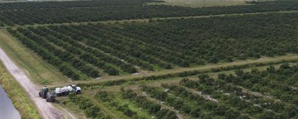 Undeveloped Land in Indian River County, Florida
