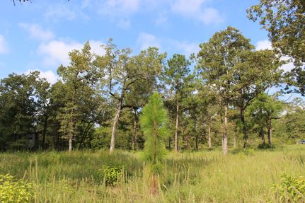 Undeveloped Land in San Jacinto County, Texas