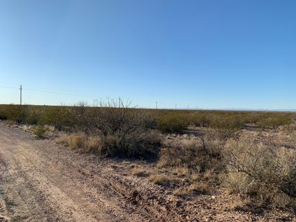 Undeveloped Land in Ward County, Texas