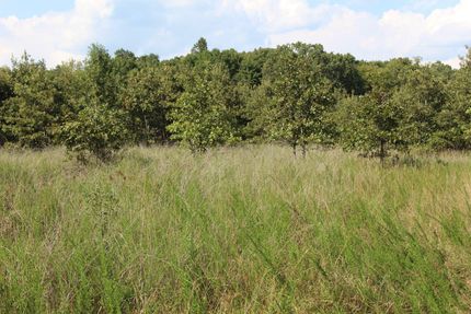 Land in Howell County, Missouri