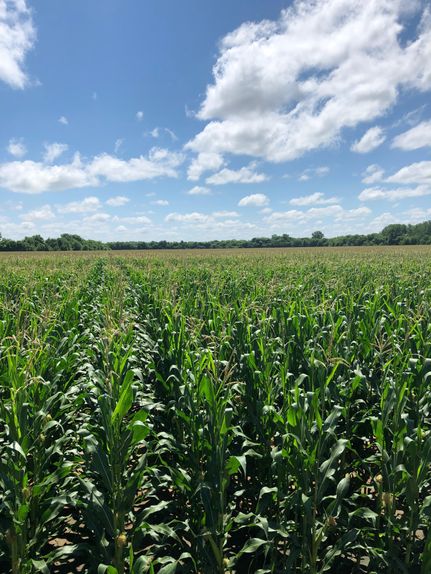 Farm and Ranch in Red River County, Texas