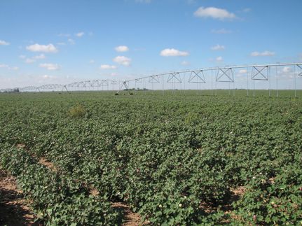 Farm and Ranch in Swisher County, Texas