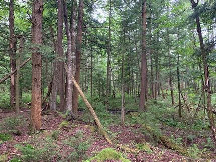 Commercial Property in Oneida County, New York