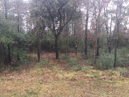 Undeveloped Land in Polk County, Texas