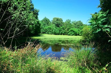 Commercial Property in Polk County, Texas
