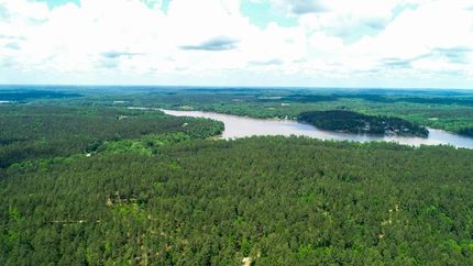 Undeveloped Land in Greenwood County, South Carolina