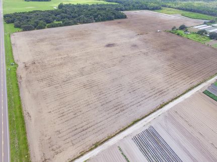 Farm and Ranch in Hillsborough County, Florida