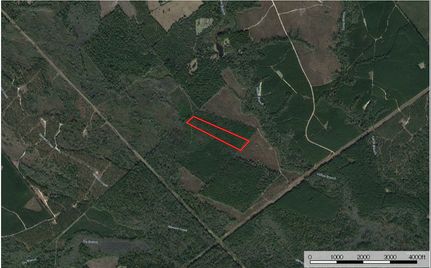 Undeveloped Land in Polk County, Texas