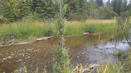 Land in Missoula County, Montana