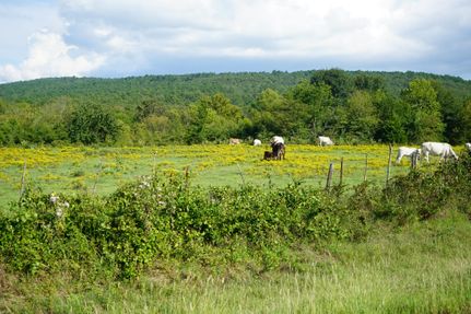 Farm and Ranch in Latimer County, Oklahoma