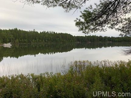 Homesite in Alger County, Michigan