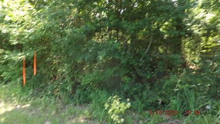 Timberland Property in Anderson County, Texas