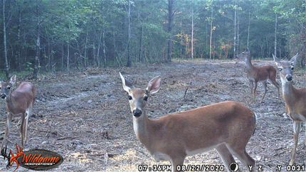 Farm and Ranch in Bowie County, Texas