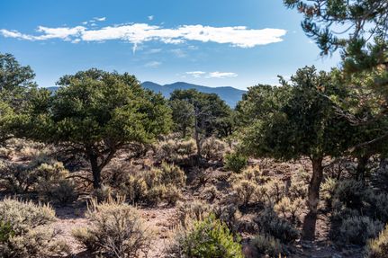 Undeveloped Land in Costilla County, Colorado