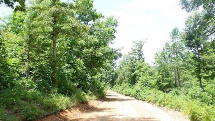 Timberland Property in Shannon County, Missouri