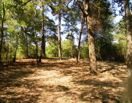 Timberland Property in Waller County, Texas