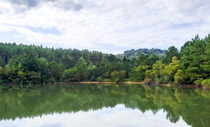 Farm and Ranch in Walker County, Alabama