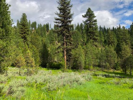 Farm and Ranch in Boise County, Idaho