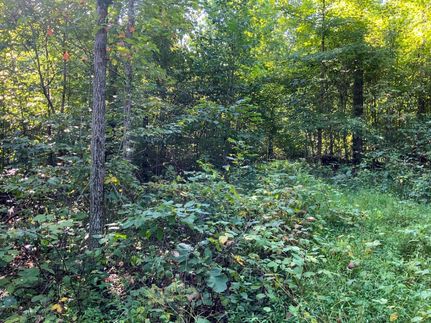 Recreational Property in Washington County, Ohio