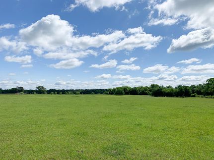 Timberland Property in Henderson County, Texas