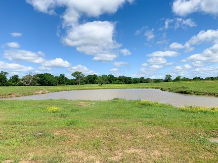 Timberland Property in Henderson County, Texas