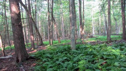 Recreational Property in Sullivan County, New York