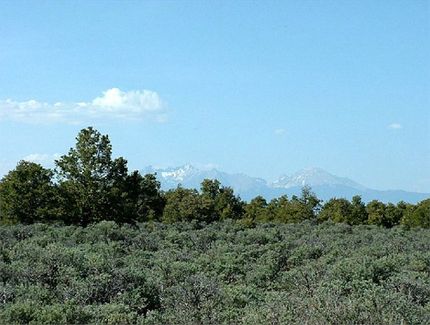 Hunting Property for sale in Costilla County, Colorado