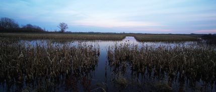 Farm and Ranch in Fulton County, Illinois