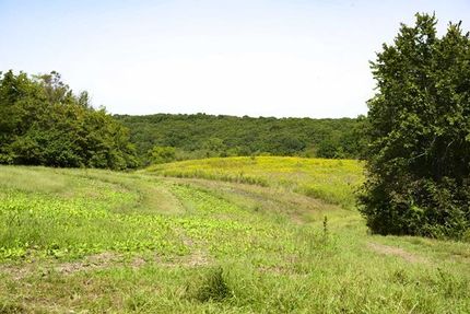Farm and Ranch in Lincoln County, Missouri
