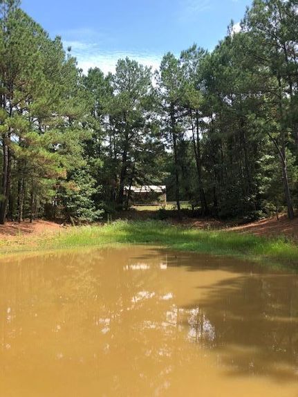 Undeveloped Land in Leon County, Texas