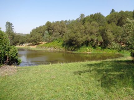 Farm and Ranch in Nevada County, California