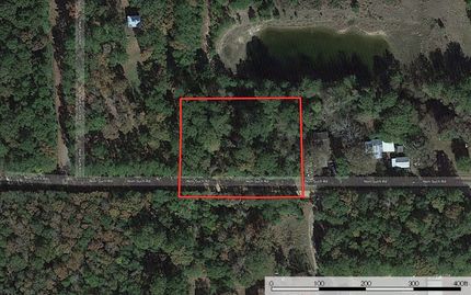 Timberland Property in Polk County, Texas