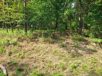 Farm and Ranch in Hawkins County, Tennessee