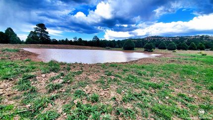 Farm and Ranch in Rio Arriba County, New Mexico