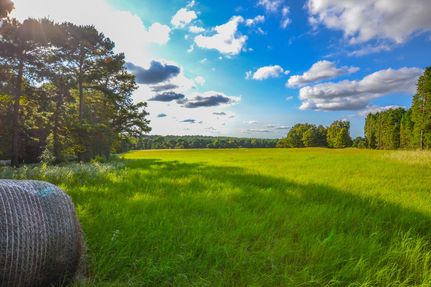 Hunting Property in Anderson County, Texas