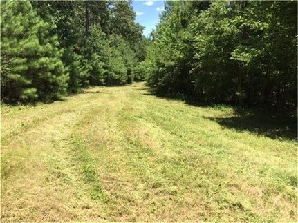 Farm and Ranch in San Augustine County, Texas