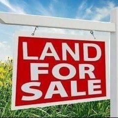 Undeveloped Land in Shelby County, Texas