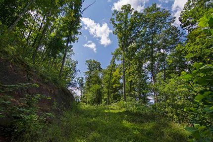 Farm and Ranch in Summers County, West Virginia
