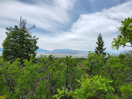 Timberland Property in Sanpete County, Utah