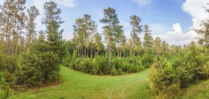 Land in Burke County, Georgia