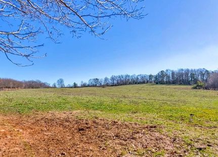 Undeveloped Land in Franklin County, Georgia