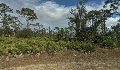 Undeveloped Land in Charlotte County, Florida