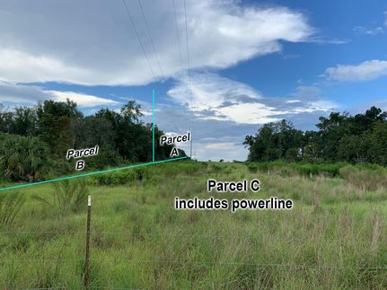 Land in Levy County, Florida