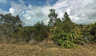 Undeveloped Land in Charlotte County, Florida