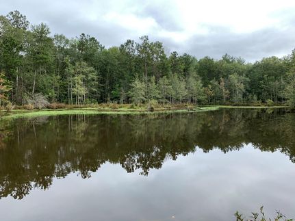 Horse Property in Crenshaw County, Alabama