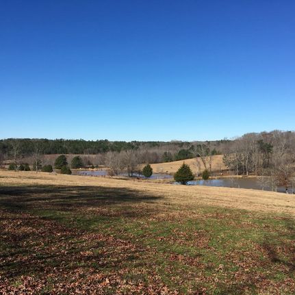 Farm and Ranch in Abbeville County, South Carolina