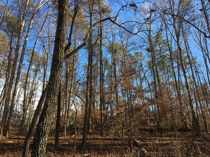 Farm and Ranch in Greenville County, South Carolina