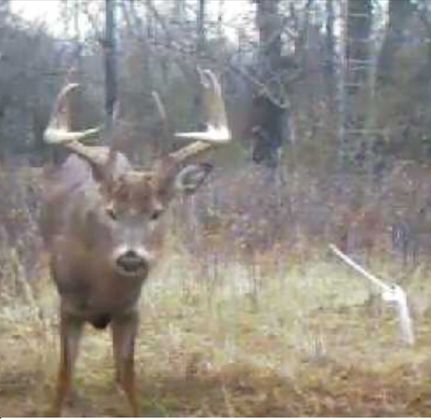 Recreational Property in Rowan County, North Carolina