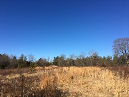 Undeveloped Land in Spartanburg County, South Carolina